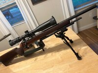 IMG_0184.jpeg