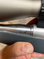 IMG_3919.jpeg