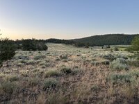 IMG_4168.jpeg