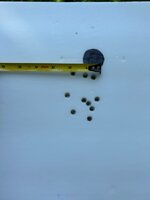 IMG_4957.jpeg
