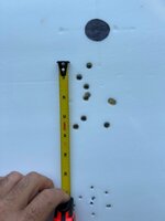 IMG_4958.jpeg