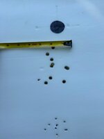 IMG_4959.jpeg