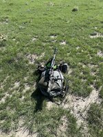 IMG_7176.jpeg