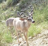 IMG_1209.jpeg