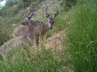 IMG_1205.jpeg