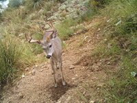 IMG_1411.jpeg
