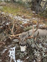 IMG_5451.jpeg