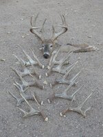 DSCN3908.JPG