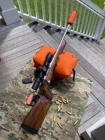 IMG_3233.jpeg