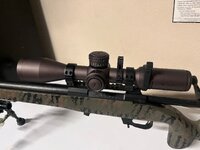 IMG_7885.jpeg