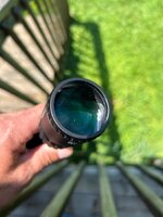 IMG_4969.jpeg