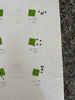 IMG_5568.jpeg