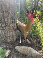 ANTELOPE SHOT.jpg