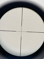 IMG_8531.jpeg