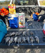 IMG_0361.jpeg