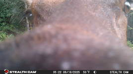 Screen Shot 2025-06-27 at 5.51.28 PM.png