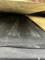 IMG_1559.jpeg