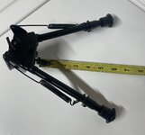 IMG_9346.jpeg