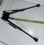 IMG_9347.jpeg