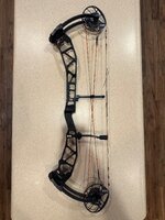 IMG_7682.jpeg
