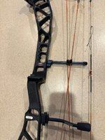 IMG_7684.jpeg