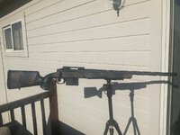 IMG_0204.jpeg