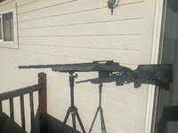 IMG_0203.jpeg