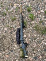 IMG_0637.jpeg