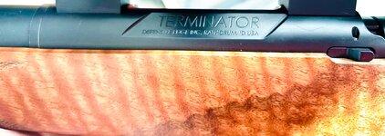 IMG_6819.jpeg