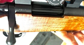 IMG_6820.jpeg