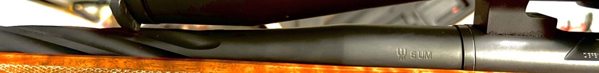 IMG_6822.jpeg