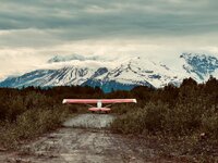 IMG_0919.jpeg