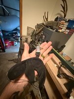 IMG_0338.jpeg