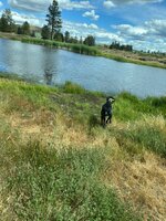 IMG_2840.jpeg