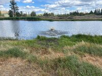 IMG_2843.jpeg