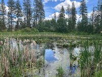 IMG_2846.jpeg