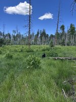 IMG_3143.jpeg