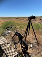 IMG_2187.jpeg