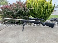 IMG_7237.jpeg