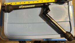 Bee Stinger 1.jpg