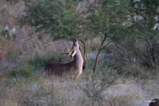 10-IMG_3679X-Focus.JPG