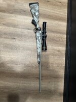 IMG_5149.jpeg