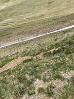 IMG_3023.jpeg