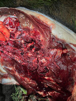 9ACB0439-ED20-4CB7-93B4-1F98C6C9C120.jpeg