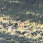 IMG_1207.jpg