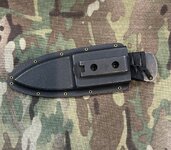 IMG_5504.jpeg