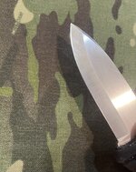IMG_5533.jpeg