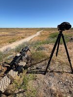 IMG_2196.jpeg