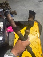 IMG_2204.jpeg