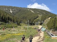 IMG_4150.jpeg